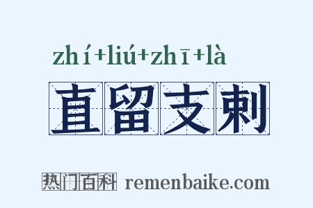 直留支剌是什么意思的图片